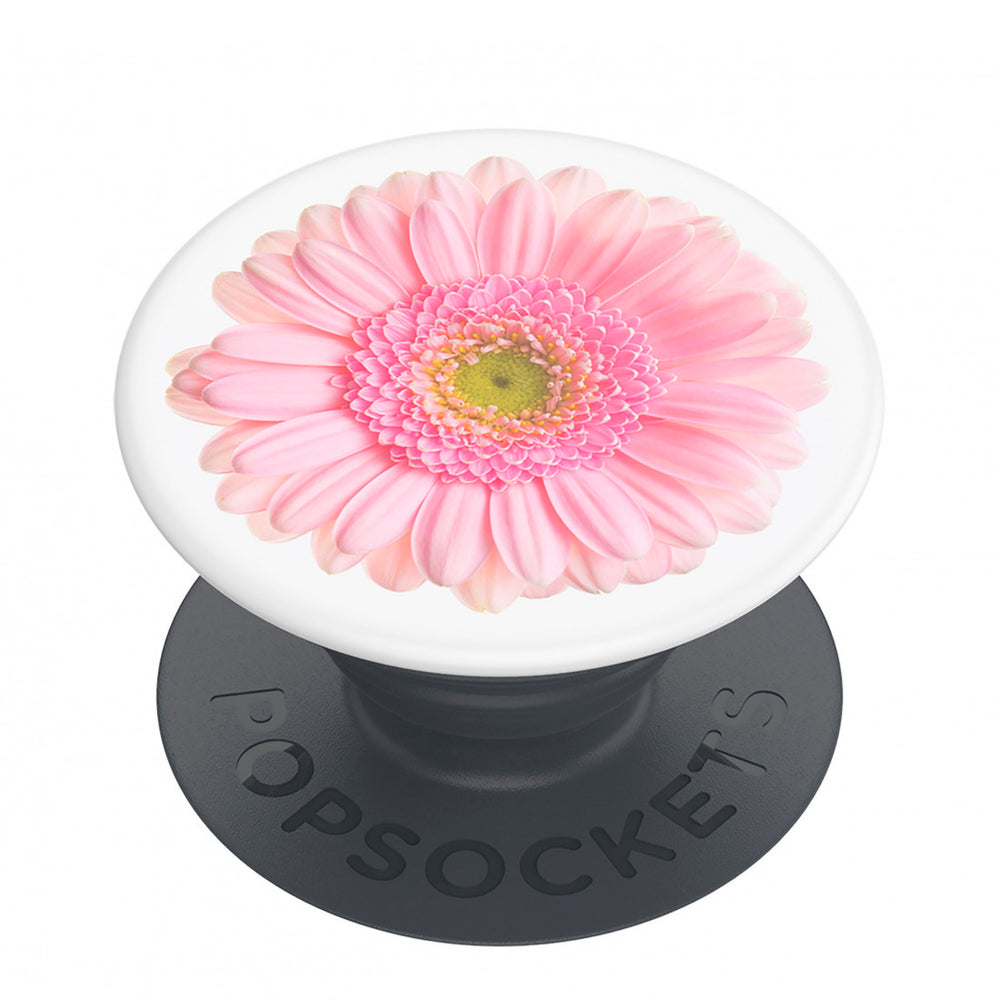 PopSockets Basic Gerver Daisy