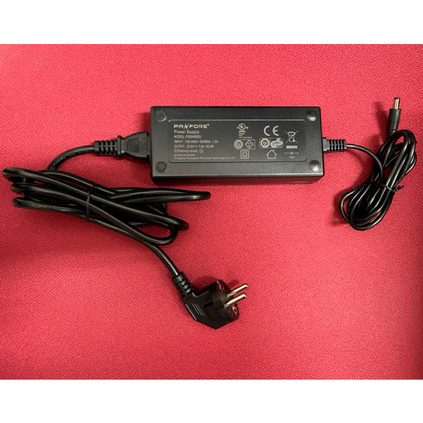 Cargador P200H5000 20V 5A 100W