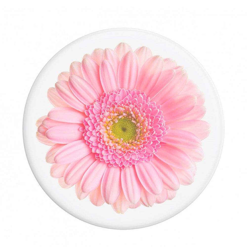 PopSockets Basic Gerver Daisy