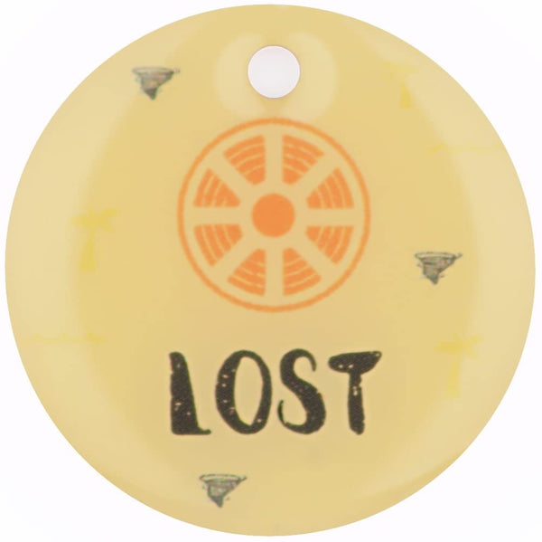 Identificación Mascota Dinbeat DBQRC12 QR Placa Lost.