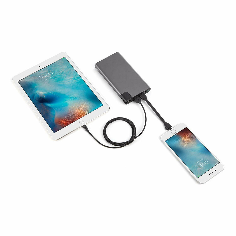 Power Bank Belkin Rockstar 10000mAh F8M993BTSLV MIXIT plata *Embalaje dañado*