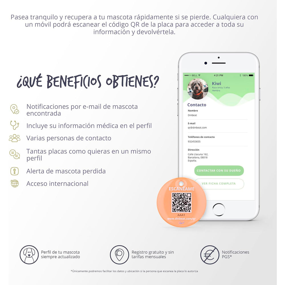 Identificación Mascota Dinbeat DBQRC05 QR Reina de la Casa